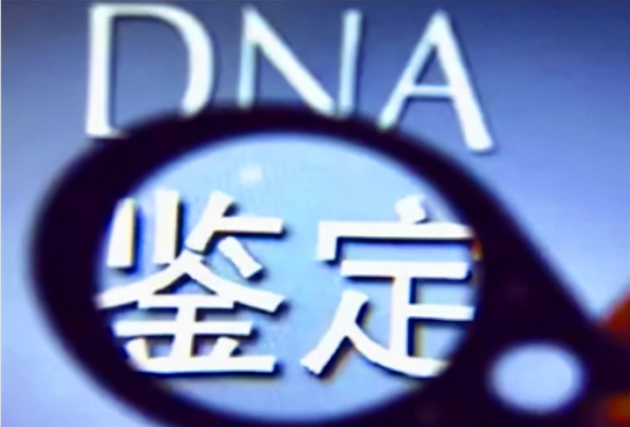 金华司法DNA鉴定如何办理,