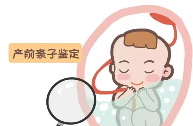 金华怀孕了要如何办理亲子鉴定,金华办理孕期亲子鉴定办理方法