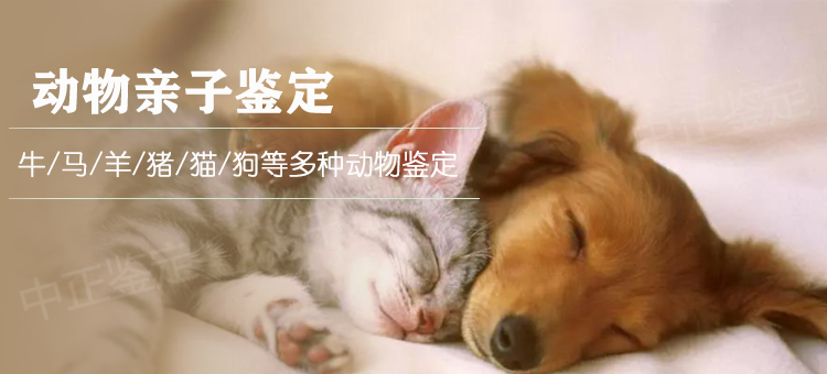 金华动物鉴定