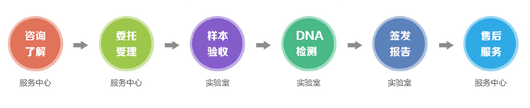 金华隐私亲子鉴定流程