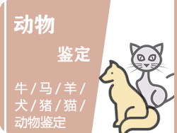 金华动物鉴定