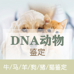 金华动物鉴定